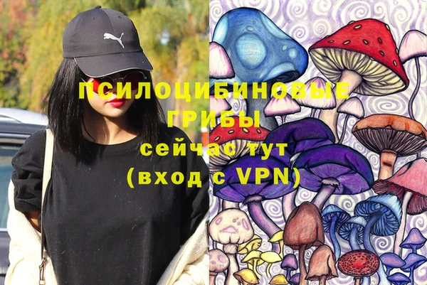 мдпв Волоколамск