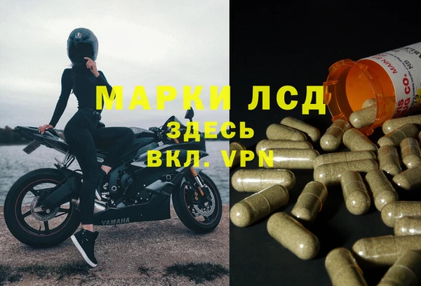 мдпв Волоколамск