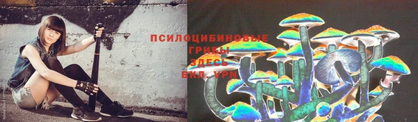Альфа ПВП Чегем